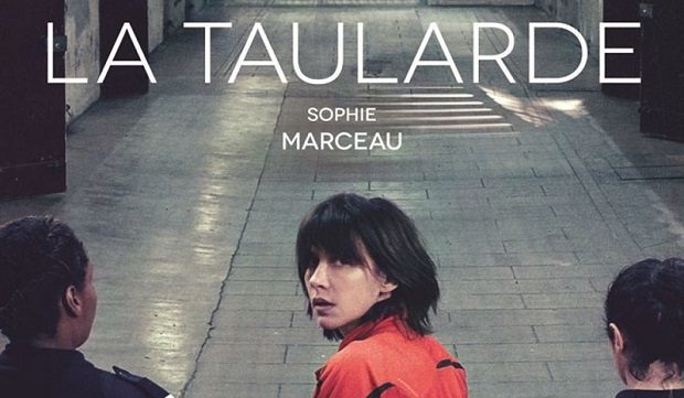 La Taularde-Sophie-Marceau